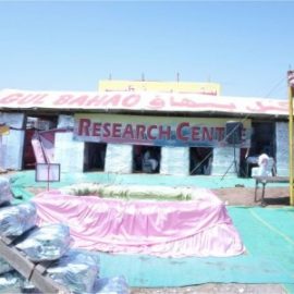 Pakistan’s first Environmental Museum inaugurated Gul Bahao complex