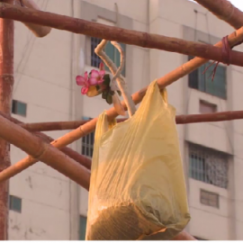 Pakistan’s first Environment Museum inaugurated by Vice Chancellor Karachi University Gardens in the air
