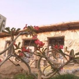 Gul Bahao goes international ! Gardens in the air