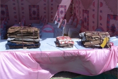 Gul Bahao's Fuel Pack product being demonstrated