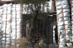 Outside view of Chandi Ghar located at Mithi Hospital Tharparkar