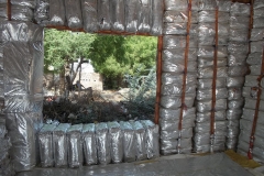 Internal view of Chandi Ghar located at Mithi Hospital Tharparkar