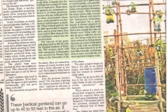 "Less space grow your gardens vertically" published by The News